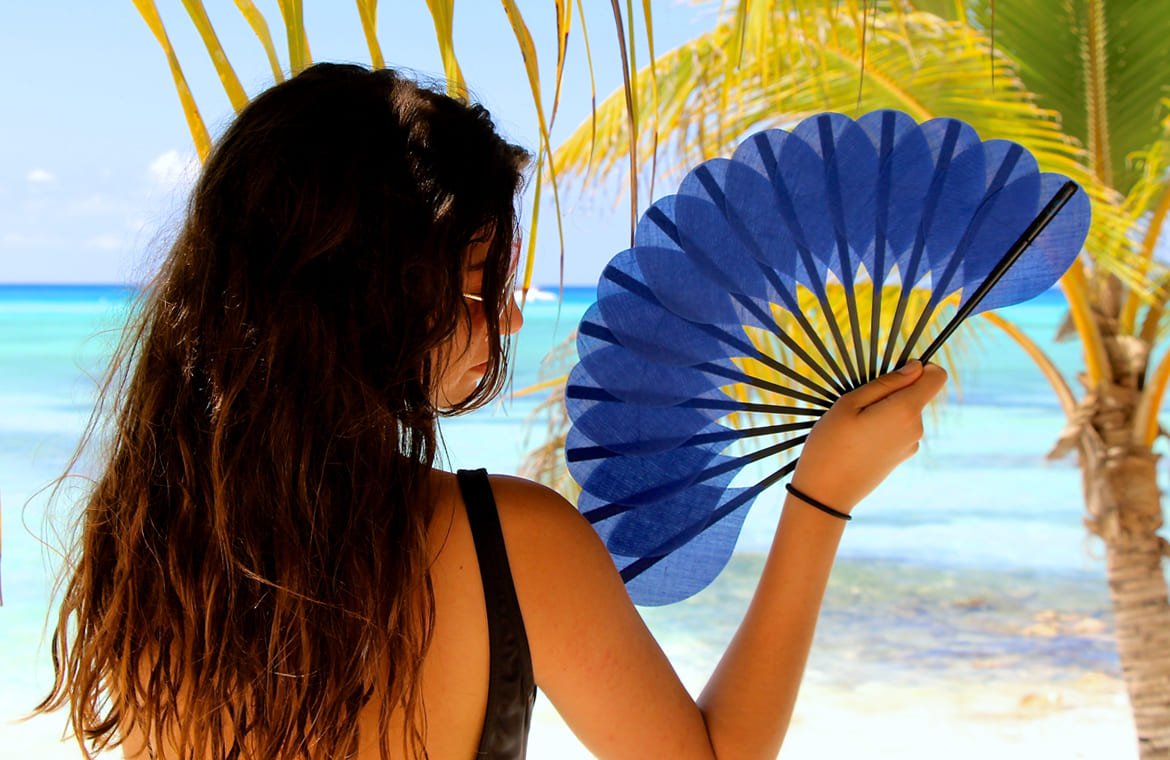 Éventail Palmito Bleu