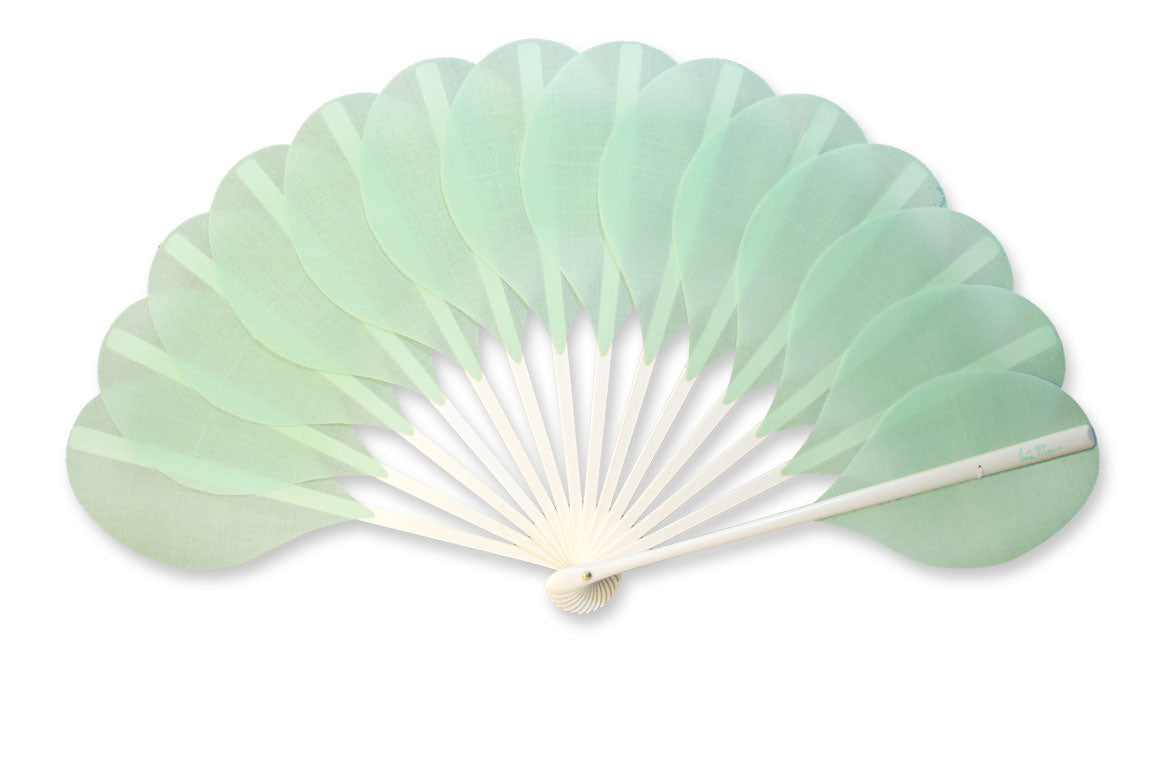 Eventail-Palmito-Vert-Pastel