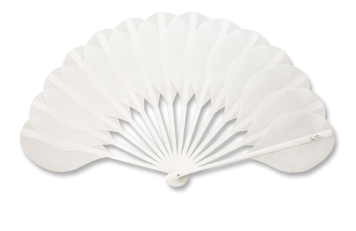 Eventail-Palmito-Blanc