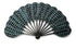 Eventail-Palmito-Coco