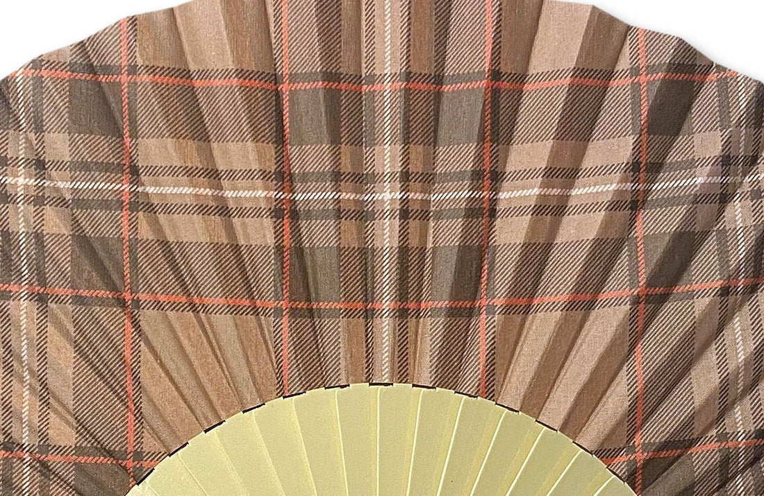 Eventail-Ecossolo-Zoom