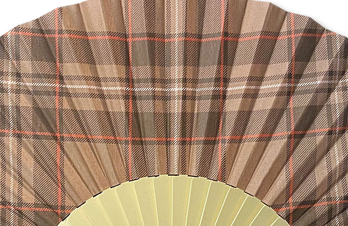 Eventail-Ecossolo-Zoom