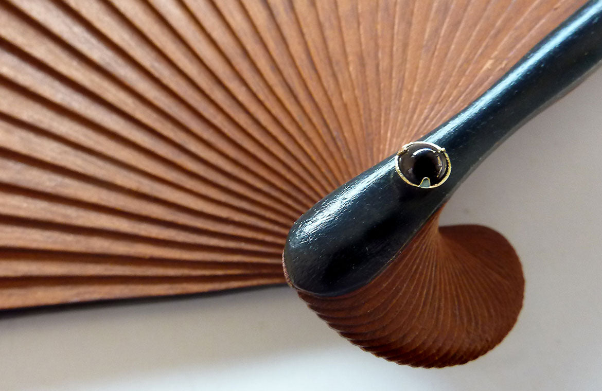 Eventail-Grand-Panama-Zoom