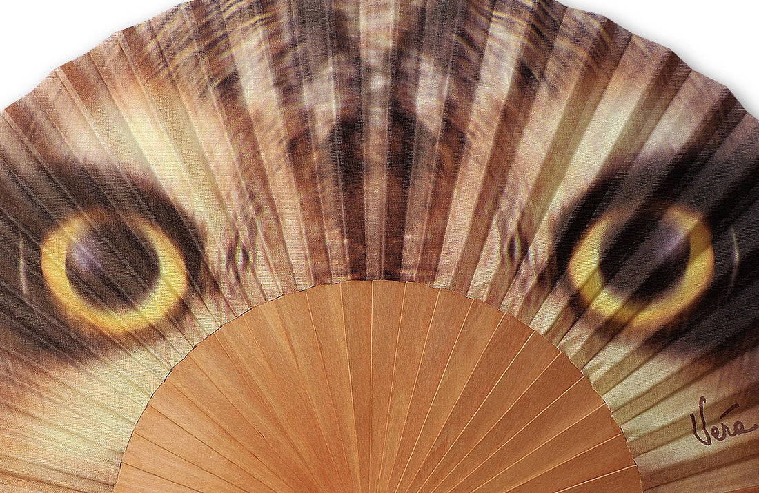 Eventail-Hiboulito-Zoom