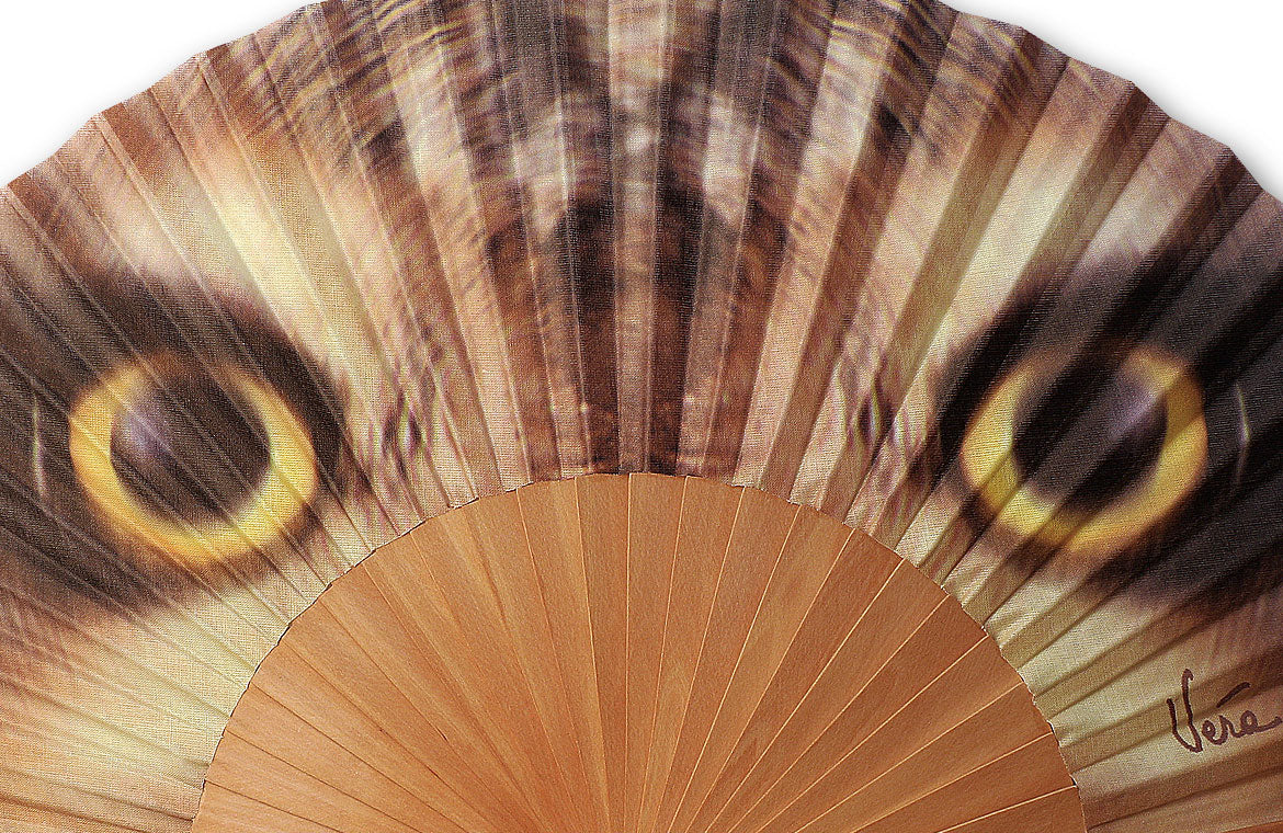 Eventail-Hiboulito-Zoom