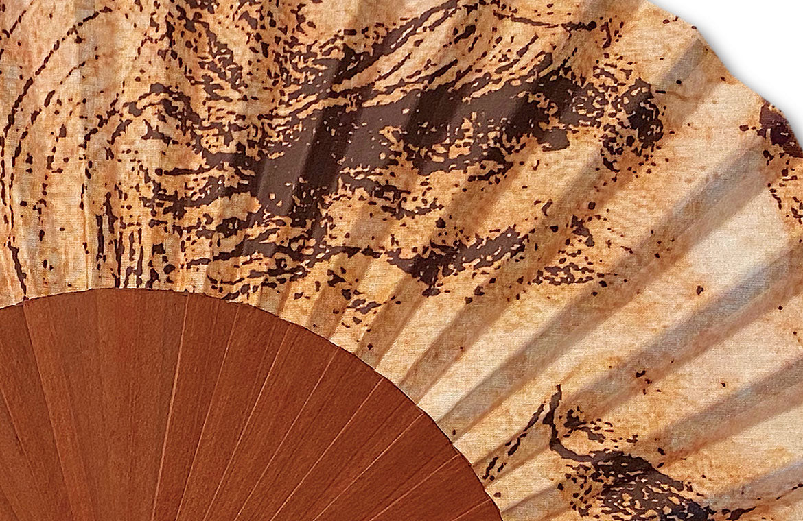 Eventail-Leonardo-Zoom