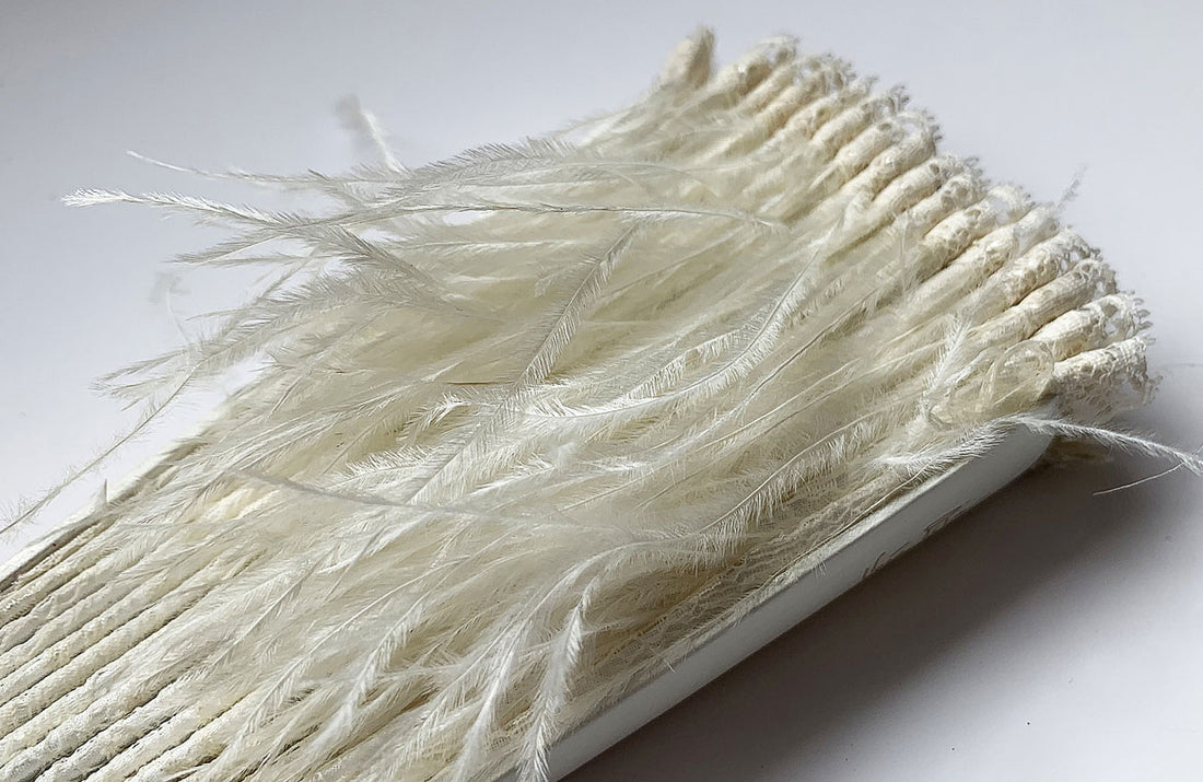 Eventail-Pluma-Ivoire-Detail-plumes