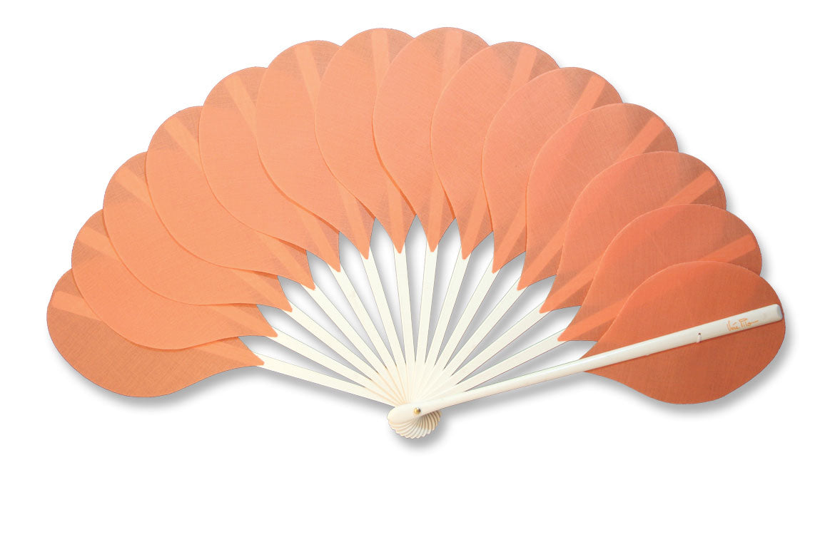 Eventail-Palmito-Saumon