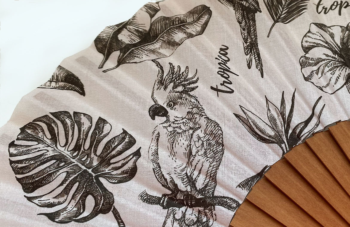 Eventail-Tropica-Zoom