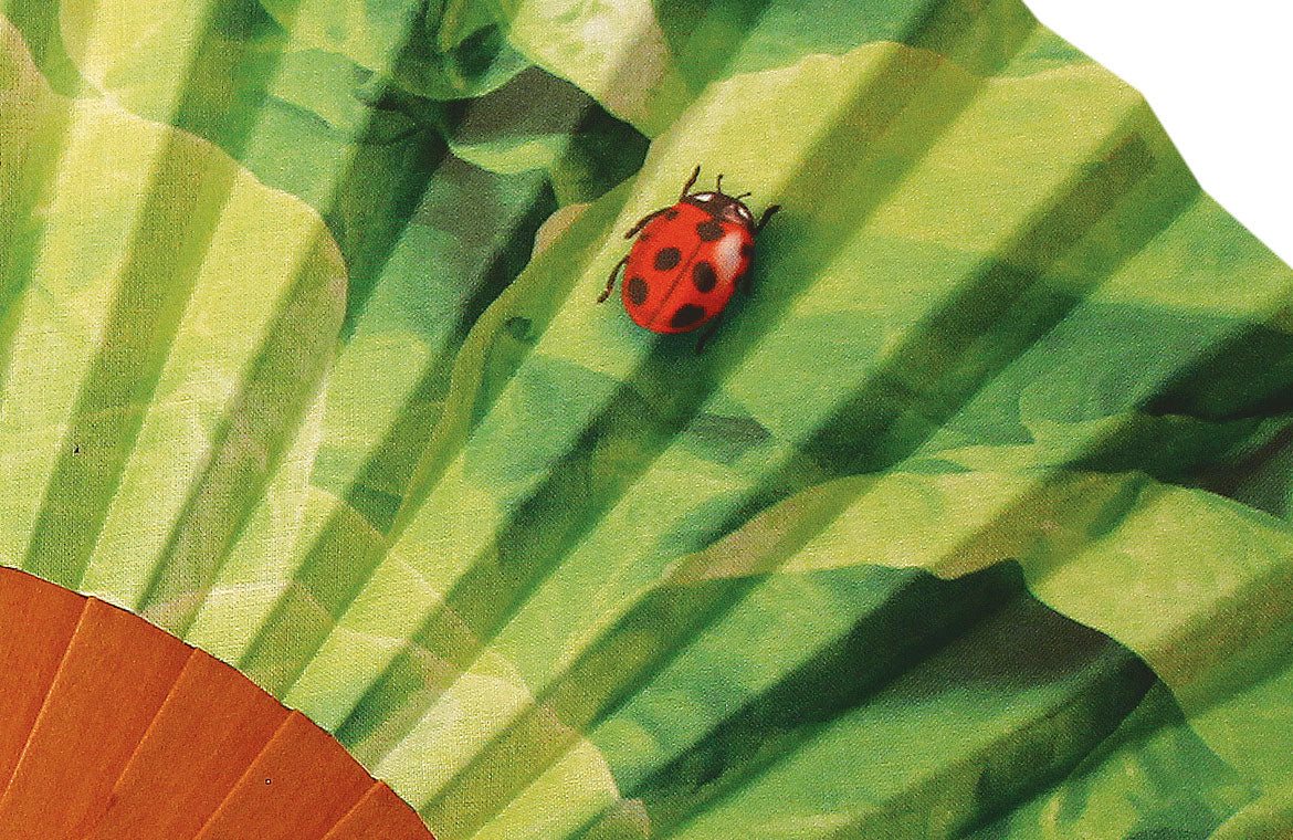 Ventaglio Coccinella