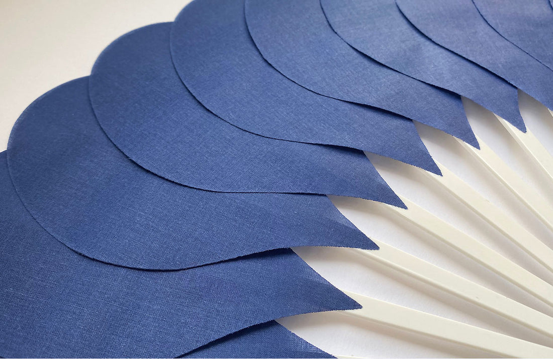 Eventail-Palmito-Marine-Zoom