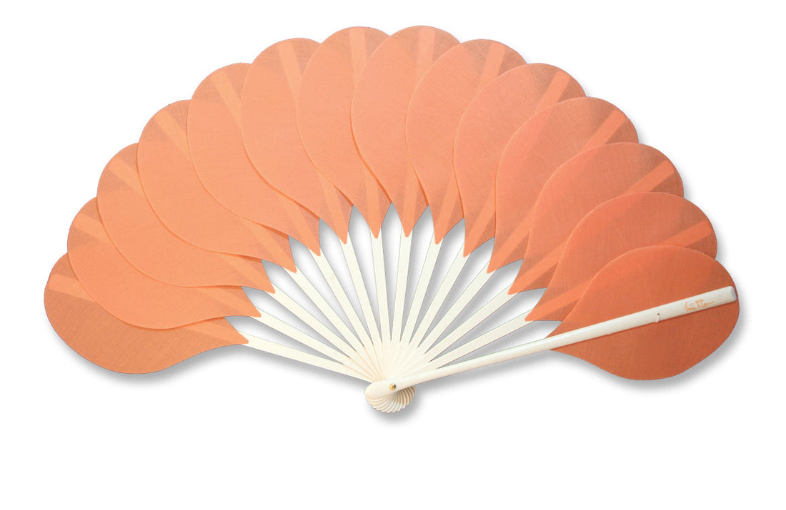 Eventail-Palmito-Saumon