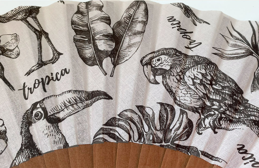 Eventail-Tropica-Zoom